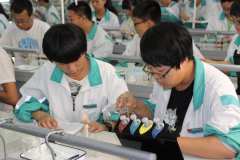 石嘴三中恒溫恒濕培養(yǎng)室